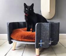 Pet Furniture